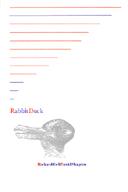 poem collabs. by R. Hell & D. Shapiro: RABBIT DUCK